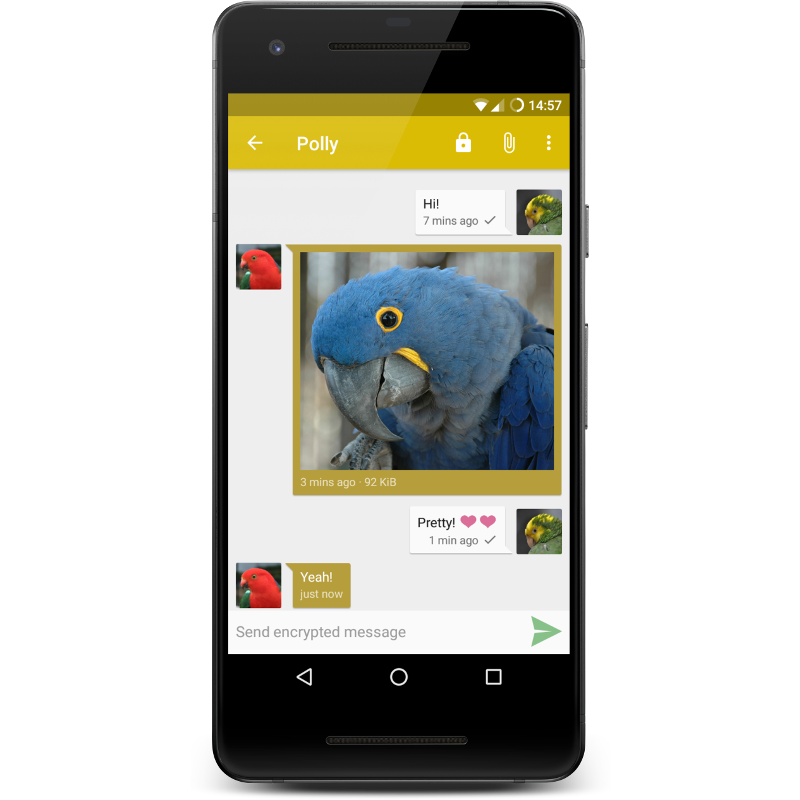 Screenshot of Snikket Android app, showing a conversation between two birds, sharing a picture of a blue parrot