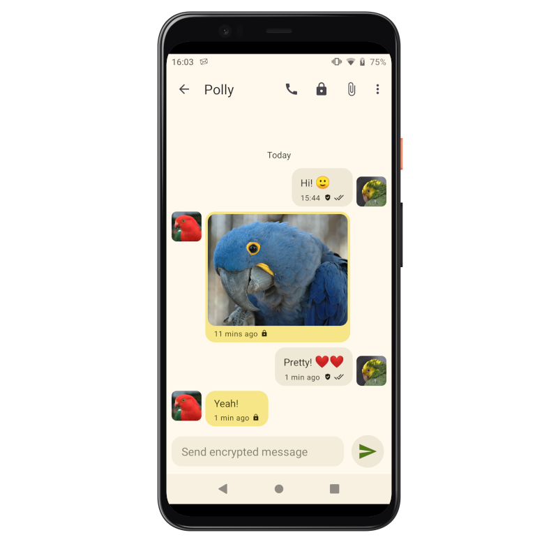 Screenshot of the redesigned Snikket Android app, showing a conversation between two birds, sharing a picture of a blue parrot